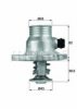 BEHR TM 11 105 Thermostat, coolant